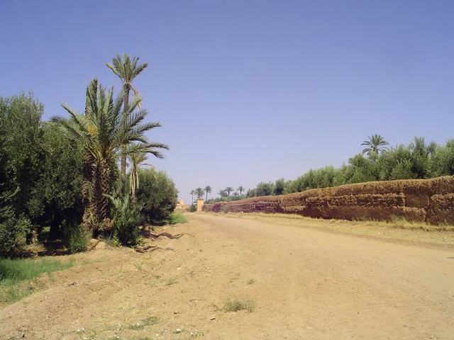 Marrakech - Gärten