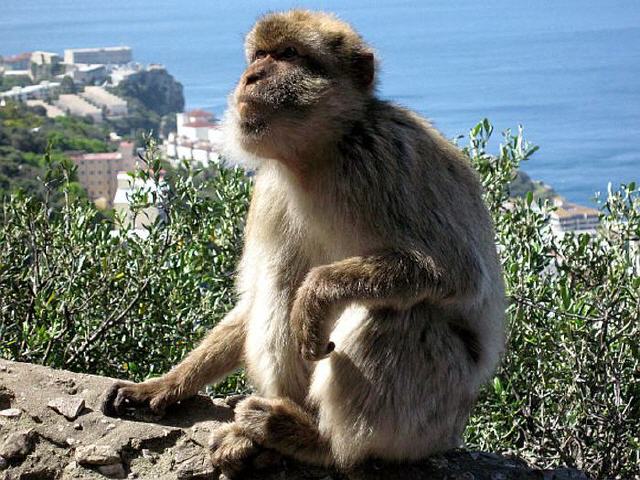 Gibraltar