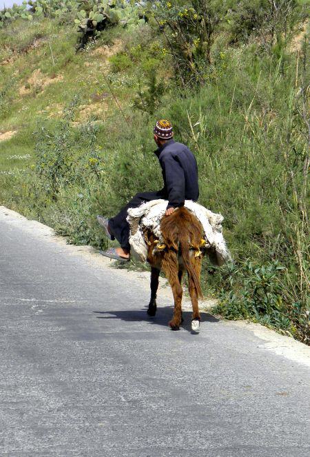 Männer in Marokko