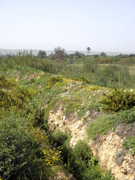 Marokko - Nationalpark Souss-Massa