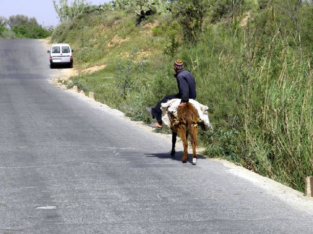 Marokko - Nationalpark Souss-Massa