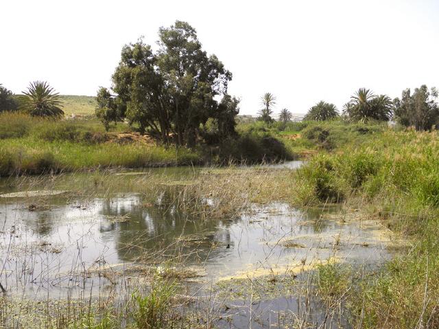 Marokko - Nationalpark Souss-Massa