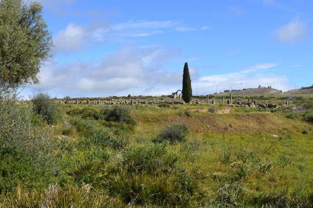 Volubilis